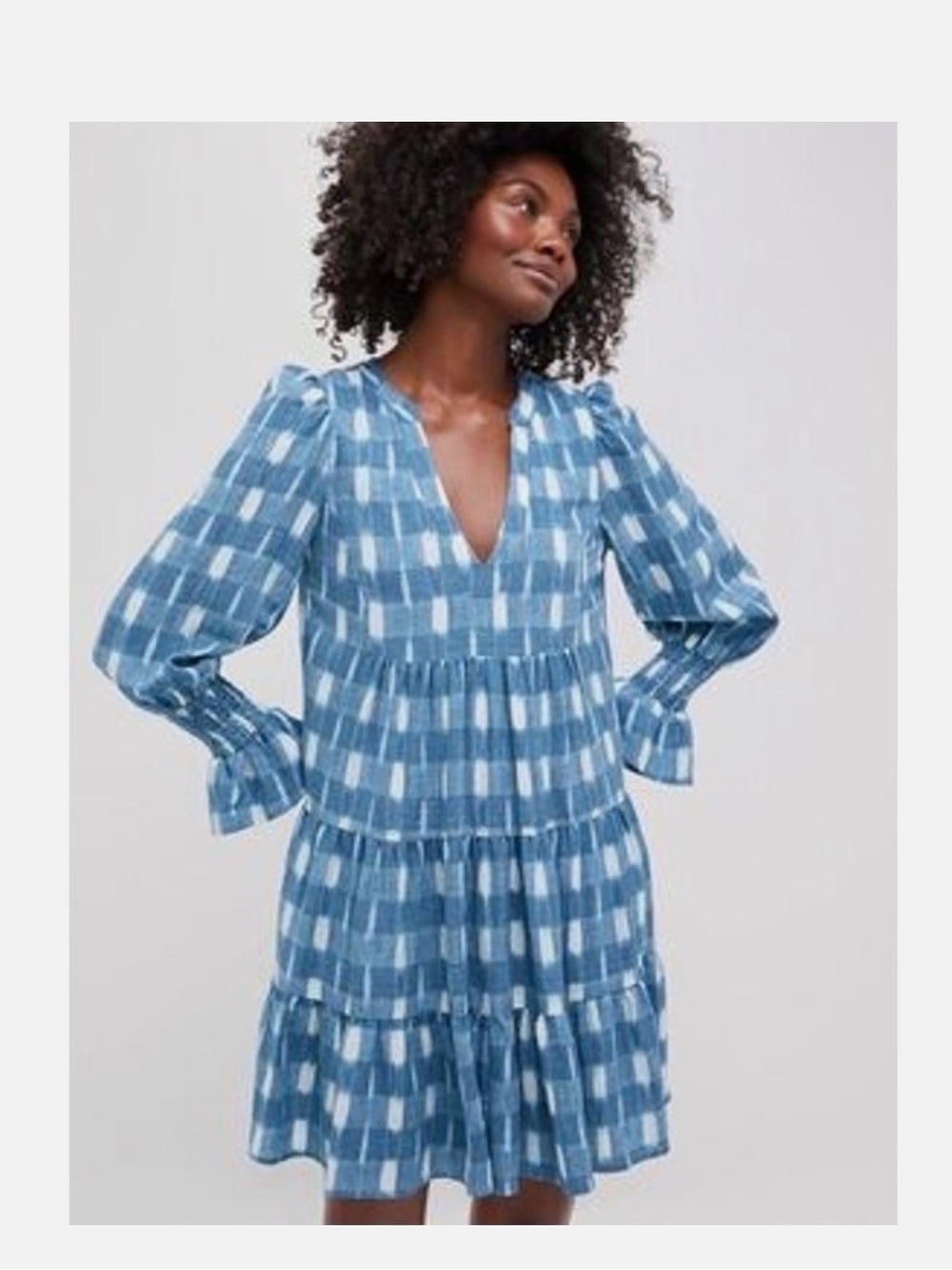 Tuckernuck Pomander Place Blue Ikat Kenzo Dress Large Long Sleeve Swing V-Neck